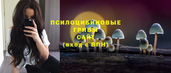 гидропоника Балахна