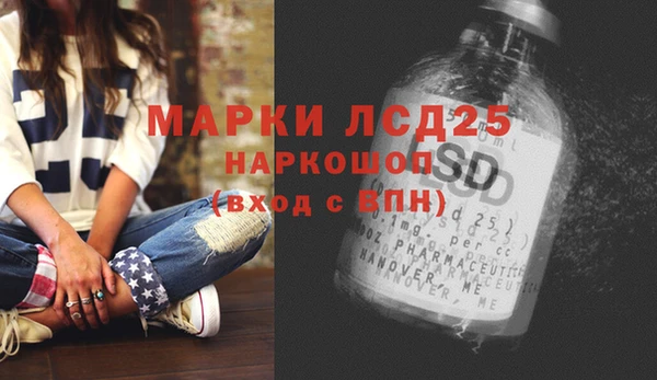 мяу мяу мука Баксан