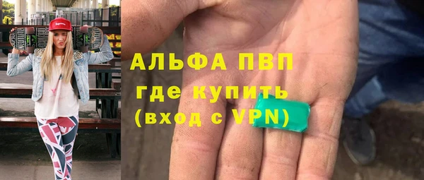 мяу мяу мука Баксан
