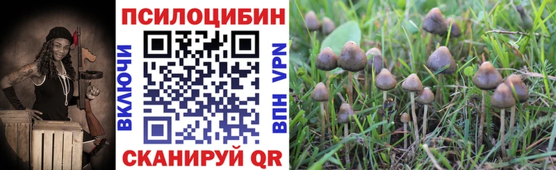 Галлюциногенные грибы MAGIC MUSHROOMS Сим